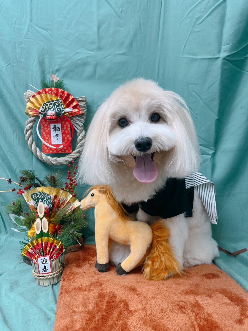 江戸期　極上　大振　犬に人物　根付　36g トコカト　東さ7-1124☆2F 江戸の“もふもふ”大集合！ かわいい温故知新 [ページ 3] | Numero TOKYO